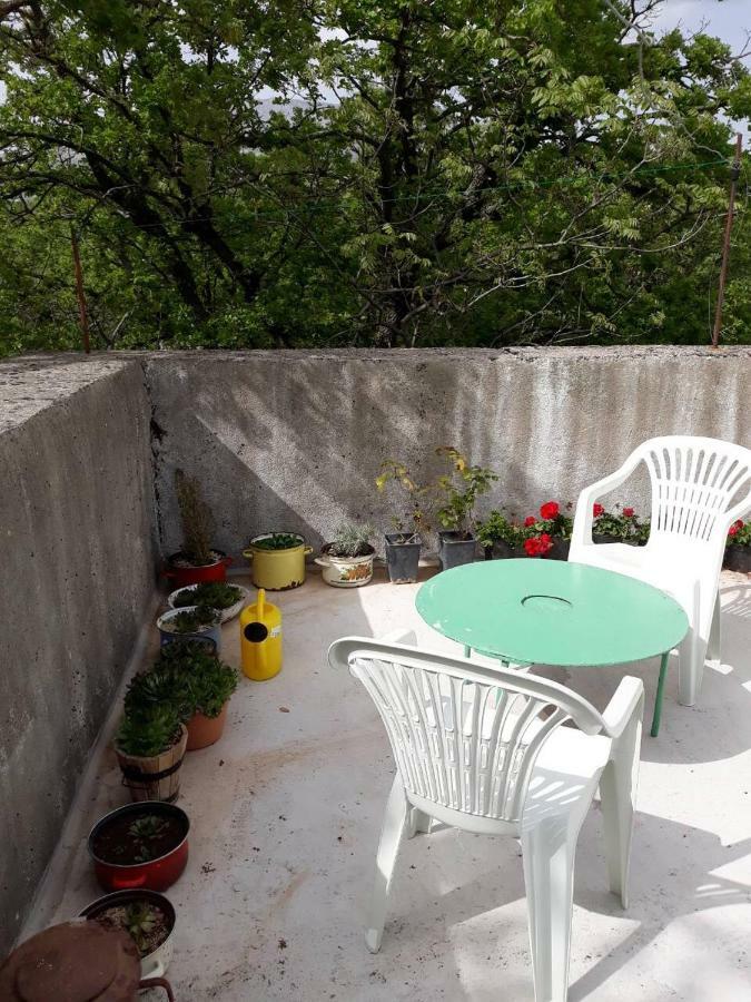 Apartman Milica Golubic  Exterior foto