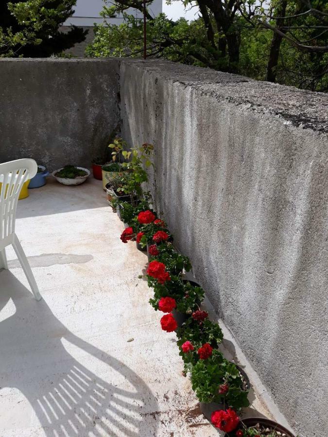 Apartman Milica Golubic  Exterior foto