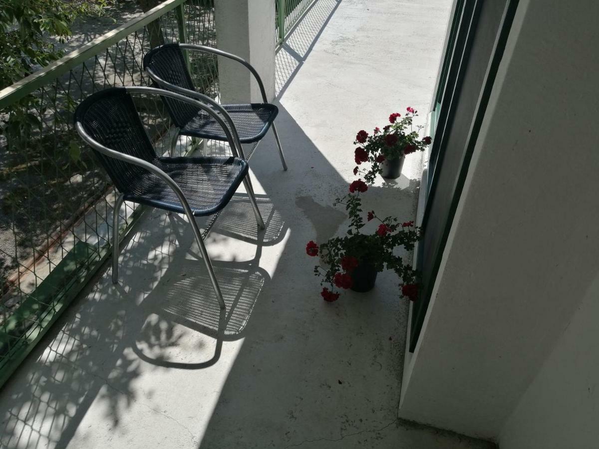 Apartman Milica Golubic  Exterior foto